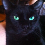 Theresa Senft (New York University, USA)