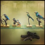 Sarah Schorr (Aarhus University, Denmark)